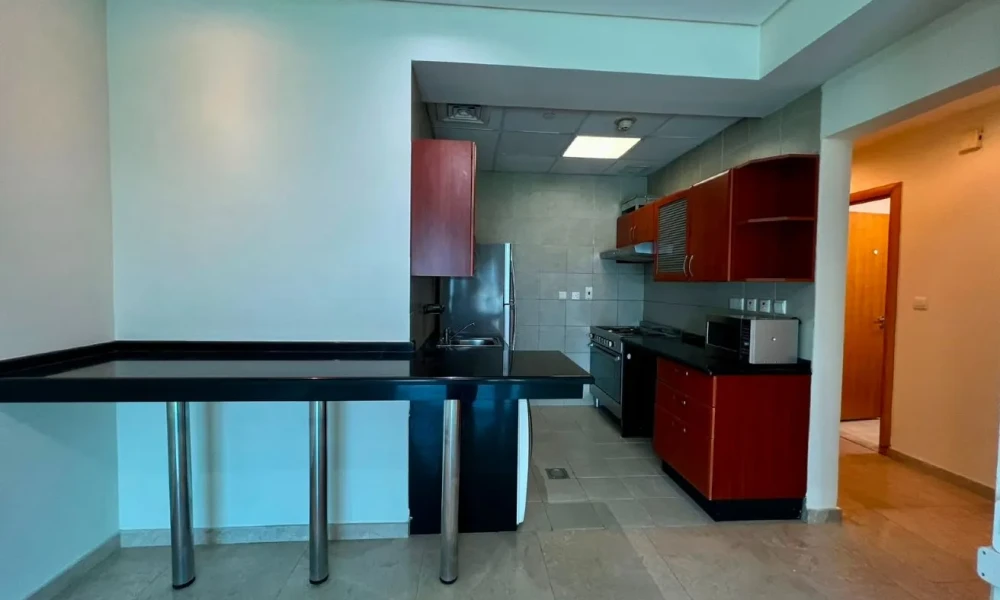 SEMI-FURNISHED 2 BR APARTMENT | WEST BAY small 3