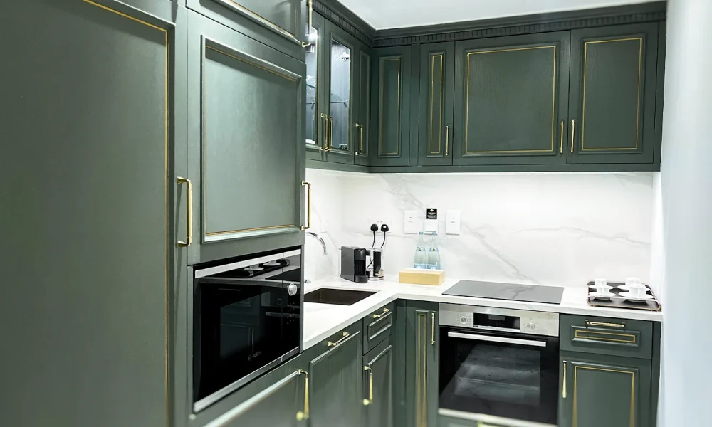 DELUXE FURNISHED 1 BHK W/ ALL BILLS & FACILITIES  - Image 6