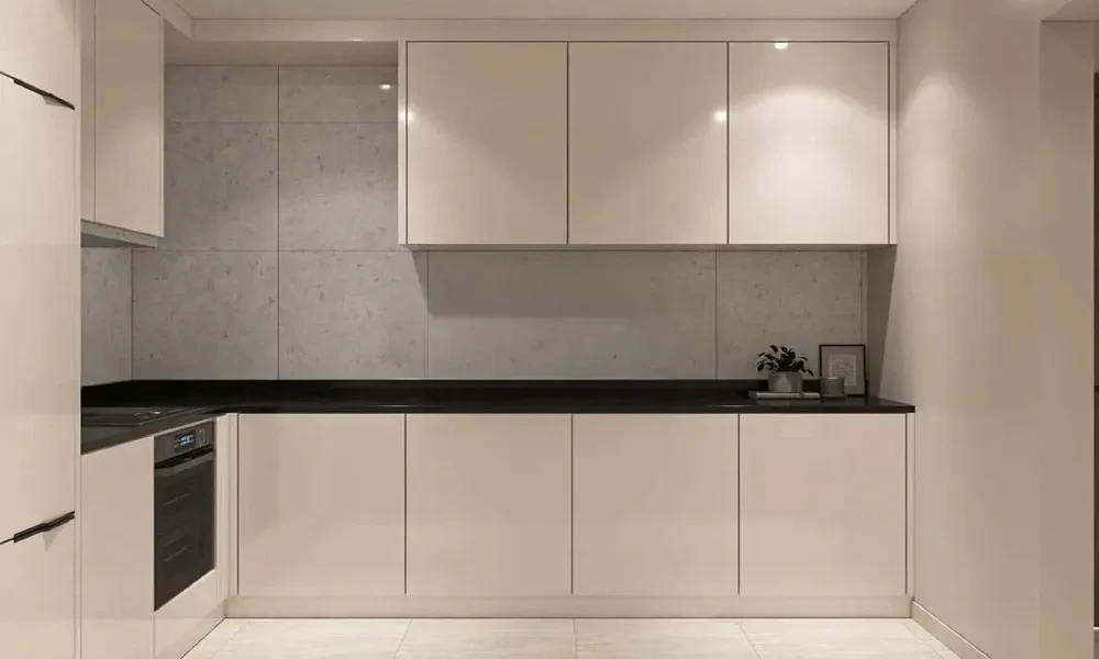 BRAND-NEW 1BHK APARTMENT WITH FULL AMENITIES | FF - Image 6