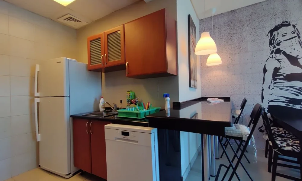 BRIGHT SF 2BR APARTMENT | WEST BAY - Image 7
