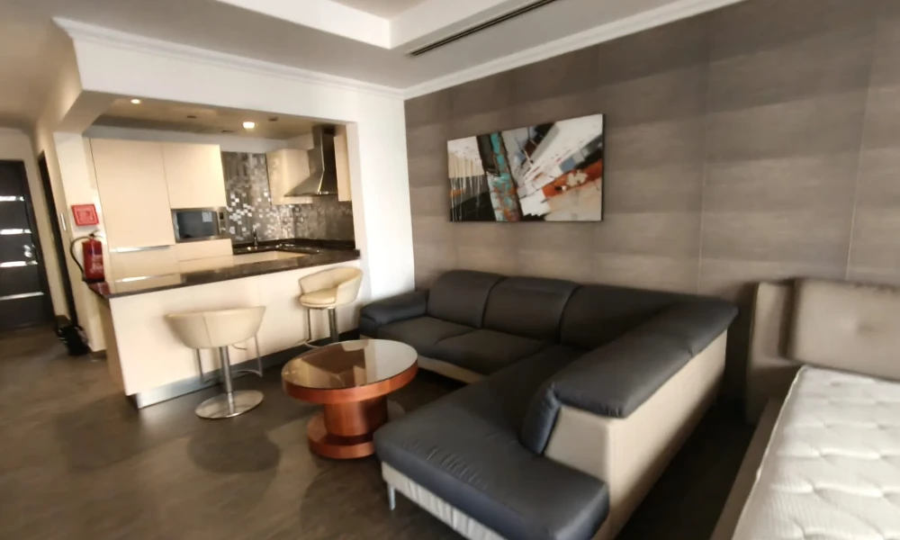 STUDIO FF | READY-TO-MOVE-IN | THE PEARL small 1